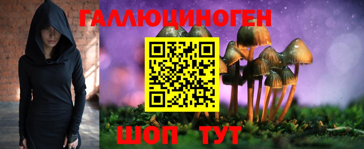 Псилоцибиновые грибы прущие грибы Кольчугино